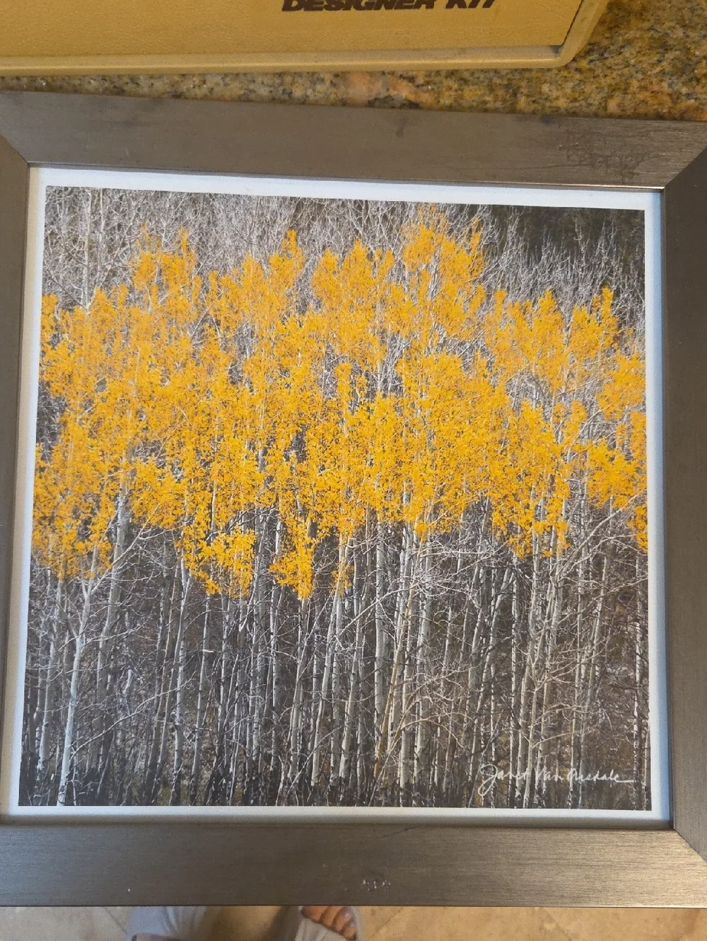 Golden Aspen Forest Wall Art with Brown Frame
